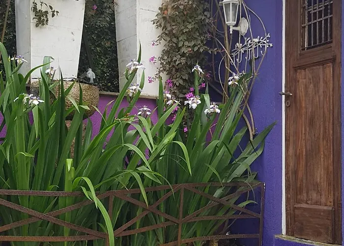 Morada Flôres * Porto Alegre