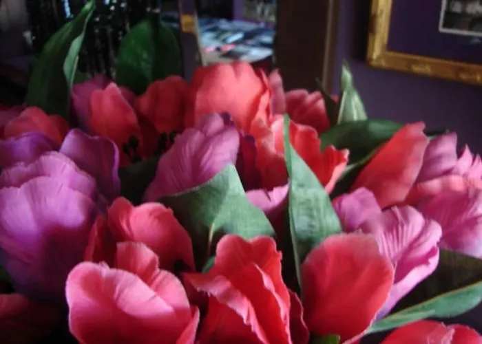 Morada Flores Homestay Porto Alegre